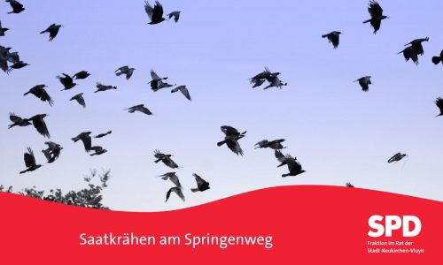 SPD-Saatkraehen SPD-Saatkraehen