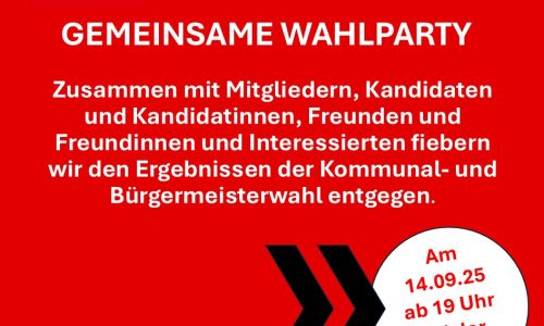 Wahlparty Wahlparty